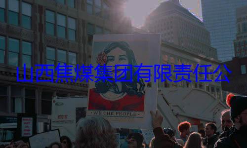 查团有限责任公司原副总山西焦煤集经理杨新华接受审查调
